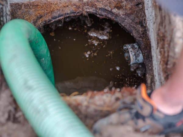 spurgo pozzi neri ogni quanto tempo